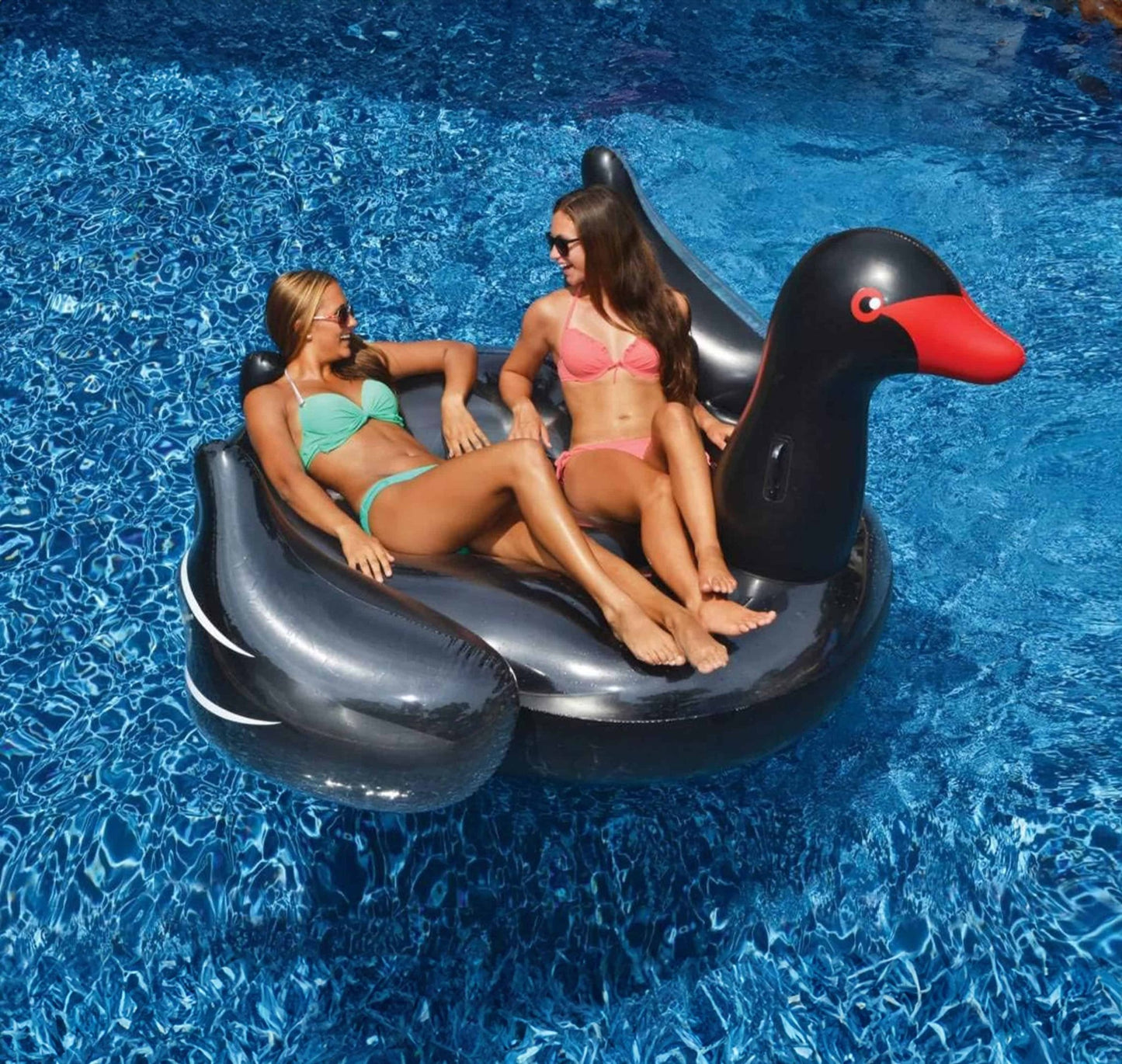 Giant Black Swan - interpools