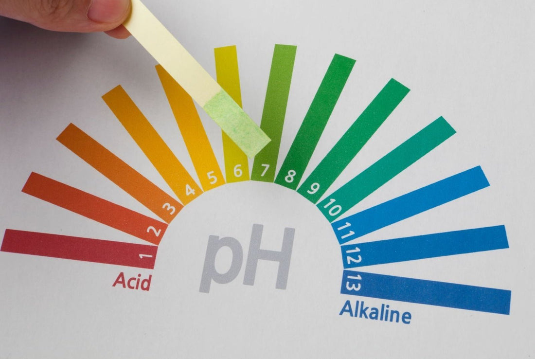 How to Check the pH Level in Your Hot Tub - International Pool & Spa