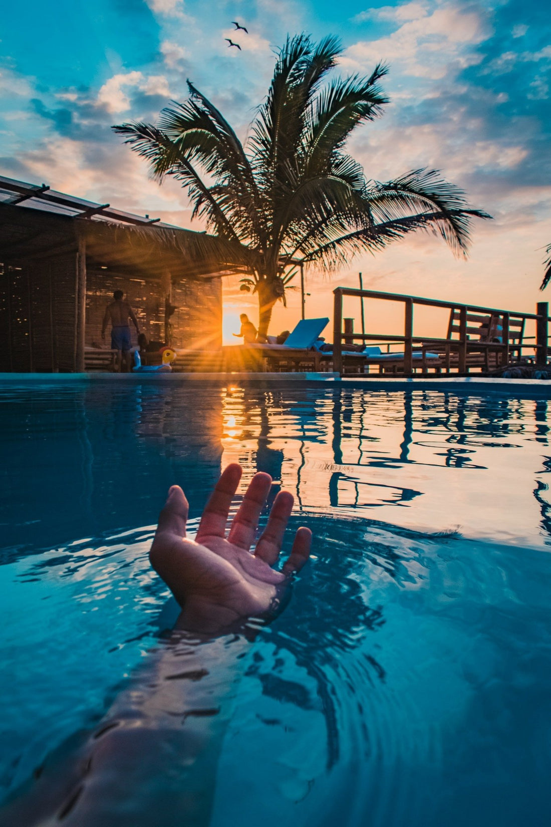 Pool Cleaner - International Pool & Spa