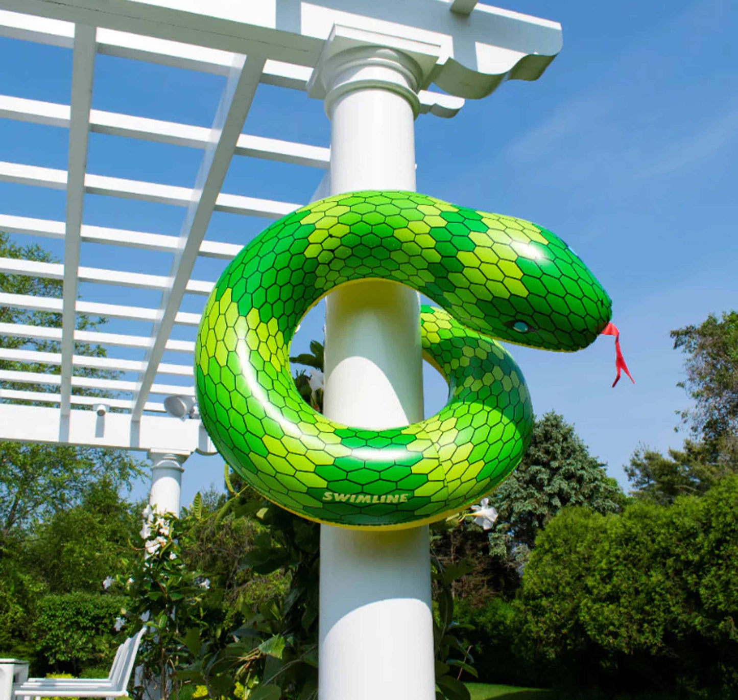 Snake Ring Float