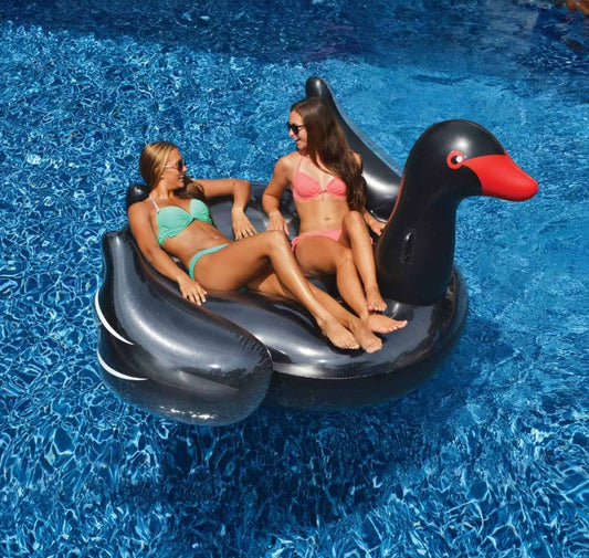 Giant Black Swan - interpools