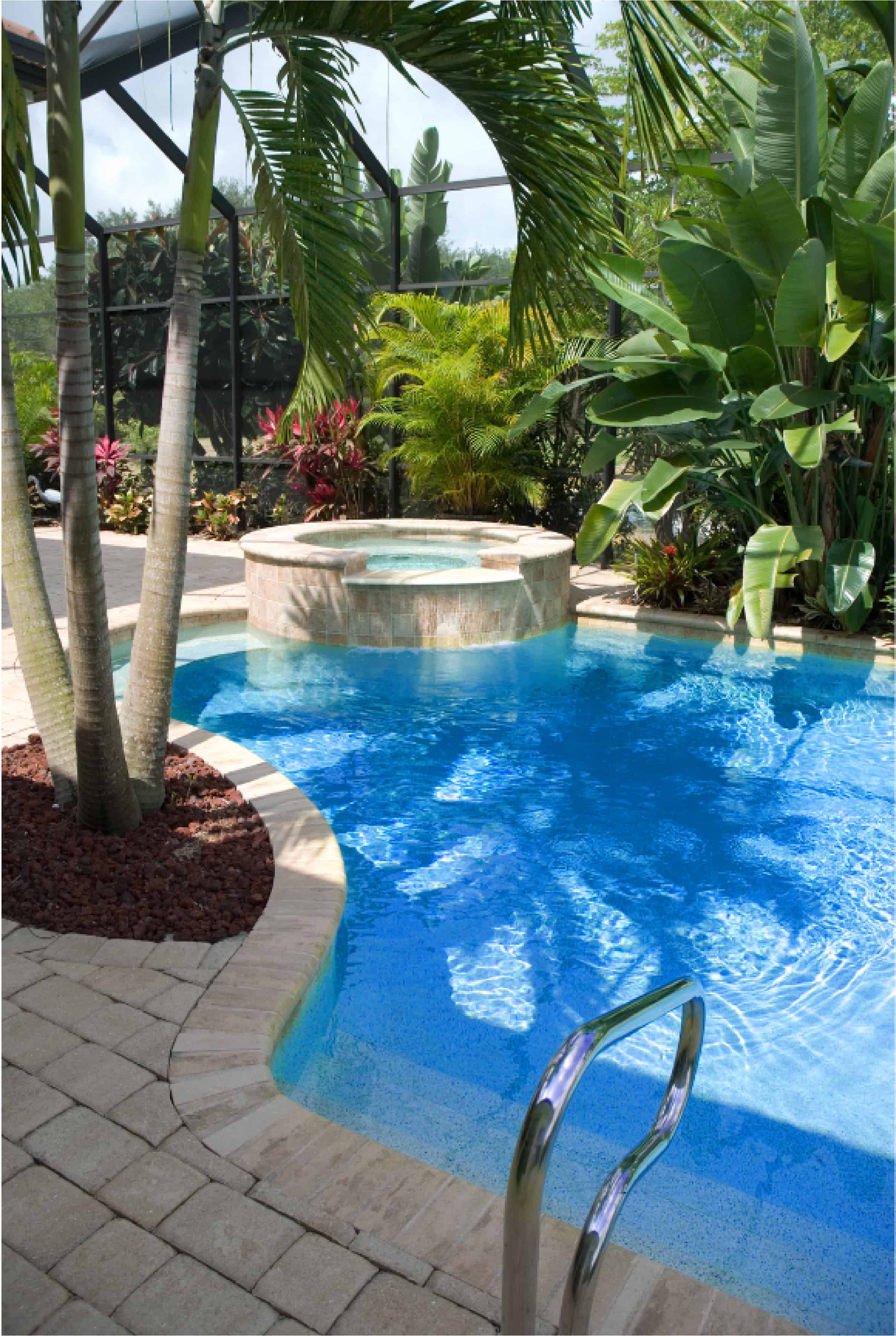 pool with trees and waterfall