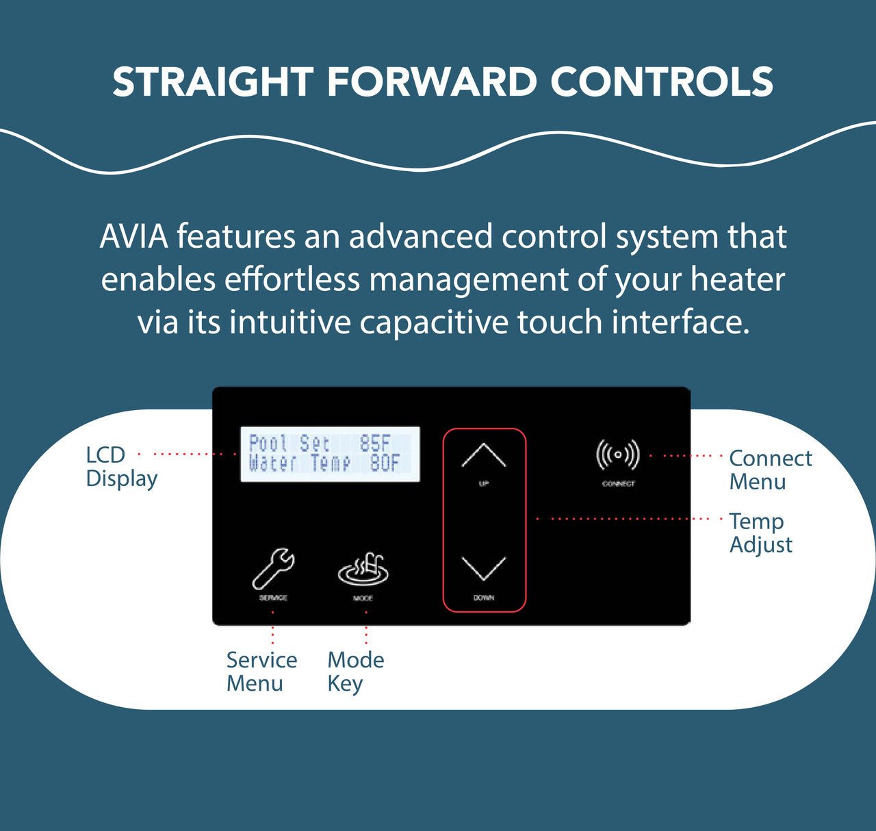 Raypak Avia HD w/ Nitek, 264A Electronic Low NOx Natural Gas Heater - International Pool & Spa